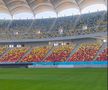 Cum arată gazonul de la Arena Națională » MM Stoica a postat imagini înainte de FCSB - UTA