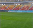 Cum arată gazonul de la Arena Națională » MM Stoica a postat imagini înainte de FCSB - UTA