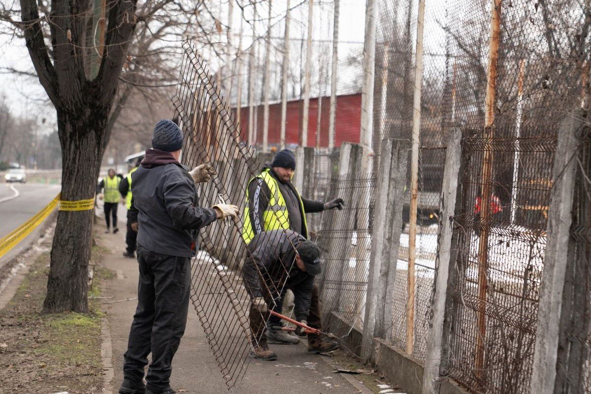Baza nautica Timișoara