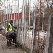 Baza nautică „Florin Marian Enache” Timișoara Foto: Primăria Timișoara