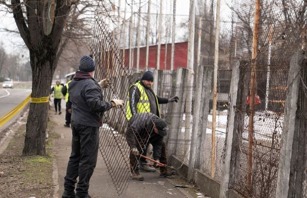 Conflict la Timișoara între Primărie și clubul la care a început canotajul campionul olimpic Marian Enache