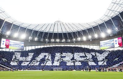 O peluză pentru King Kane! Scenografia impresionată realizată de fanii lui Tottenham