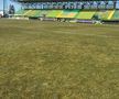 FC Argeș - Farul, imagini înaintea partidei de la Mioveni