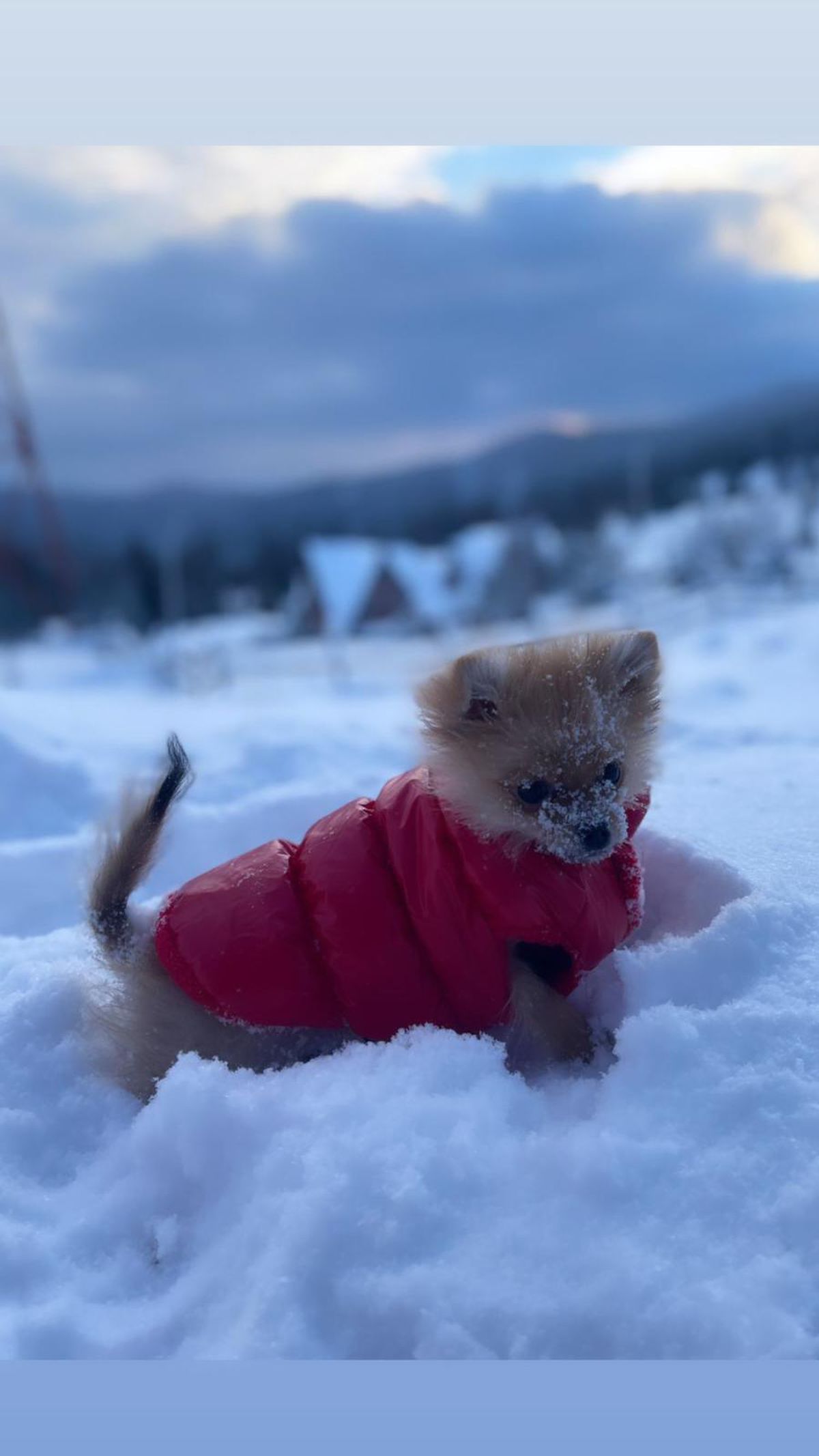 Campioana de tenis masă Bernadette Szocs are iubit cu 6 ani mai mic decât ea