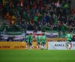 România - Irlanda de Nord, meci amical //foto: Raed Krishan