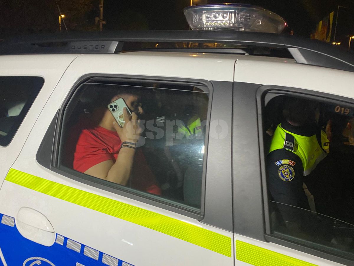Ionel Ganea, urcat în mașina Poliției înainte de România - Irlanda de Nord! Scene incredibile la Arena Națională » Cum a fost pedepsit