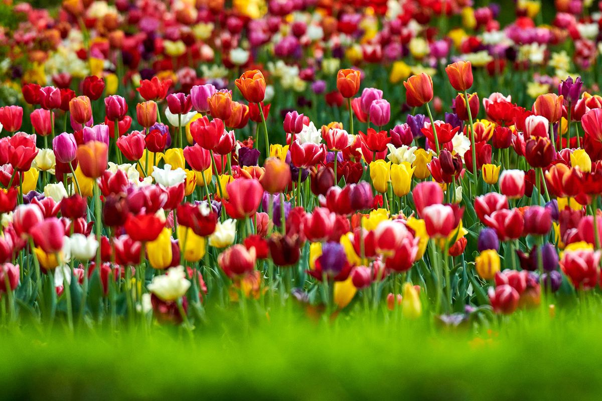 Scrisoarea emoționantă a elevei din Vaslui pentru primar: „Vă rog cu toată fiinţa mea să îmi împrumutaţi un telefon, pentru a-mi putea face temele” + Reacția edilului: „Mi-au dat lacrimile, copil minunat!”