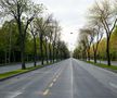 Gabriela Firea, anunț îngrijorător » Traficul din București ar fi crescut cu 20% în ultimele zile + ce mesaj are pentru locuitorii Capitalei