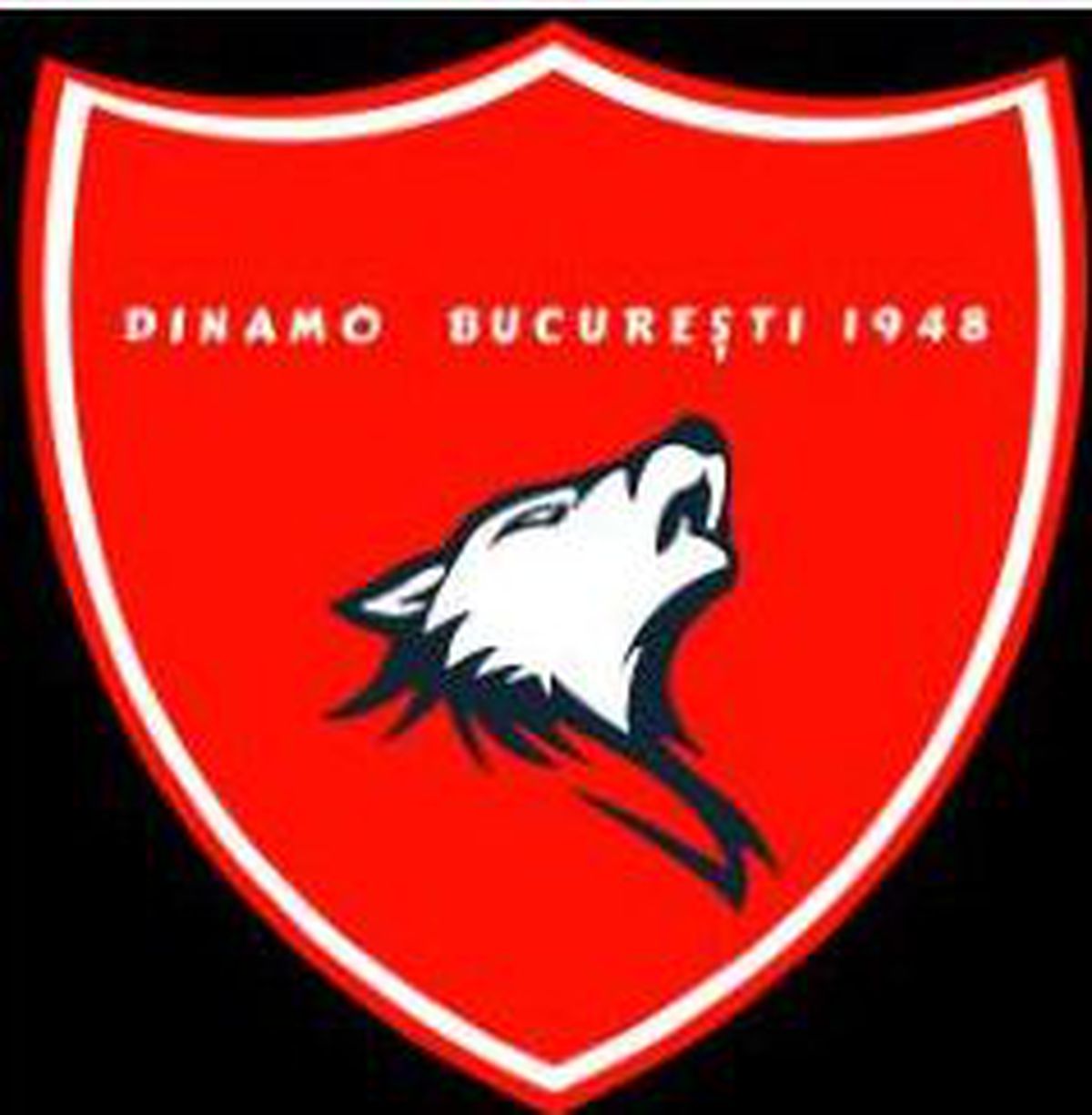 Acuză conducerea lui Dinamo, după ce i-au fost respinse siglele propuse: „Dacă exista Poliția Designului, ar fi amendat 3 dintre cele 5 variante alese!”