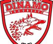 Au apărut primele propuneri pentru noua siglă a lui Dinamo / Sursă foto: Facebook
