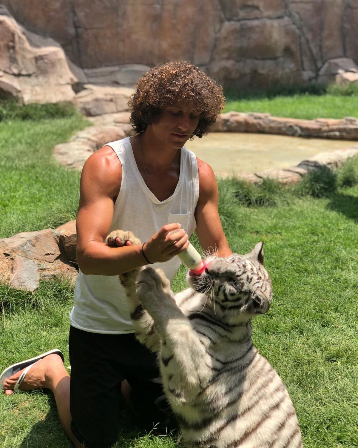 Fostul star de la Chelsea și Arsenal, de nerecunoscut » A ajuns viral în țara natală