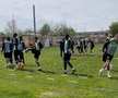 Primul antrenament după plecarea lui Mirel Rădoi de la FCSB