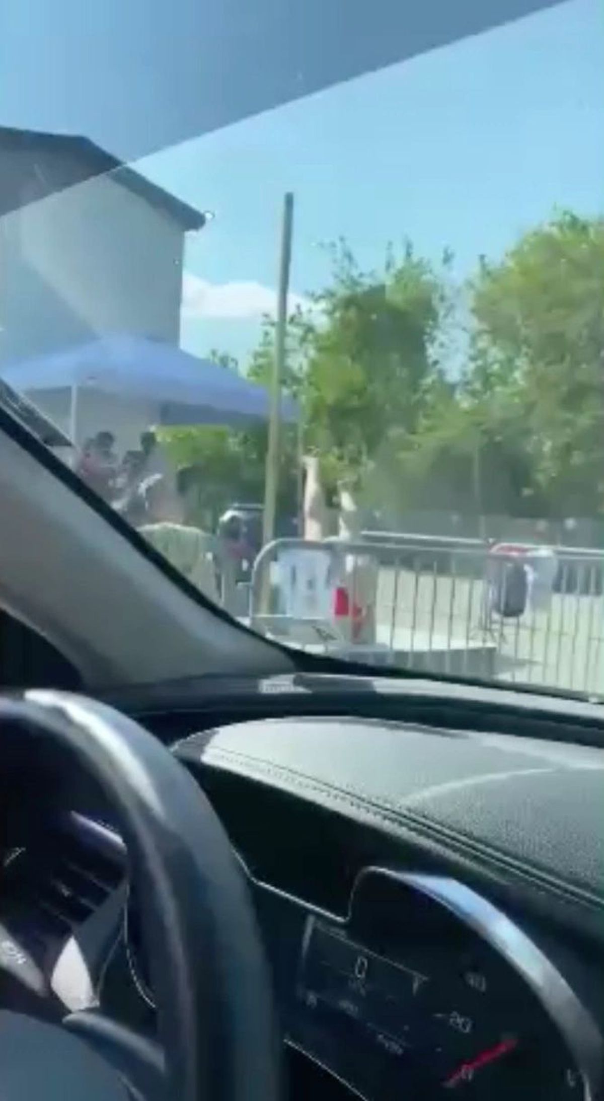 Striptease coronavirus