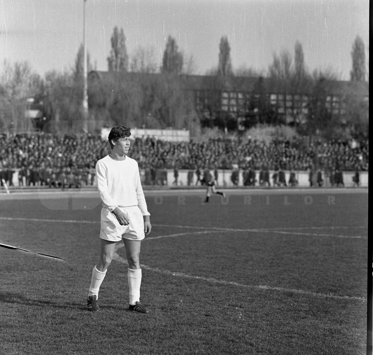 Retro Florea Dumitrache