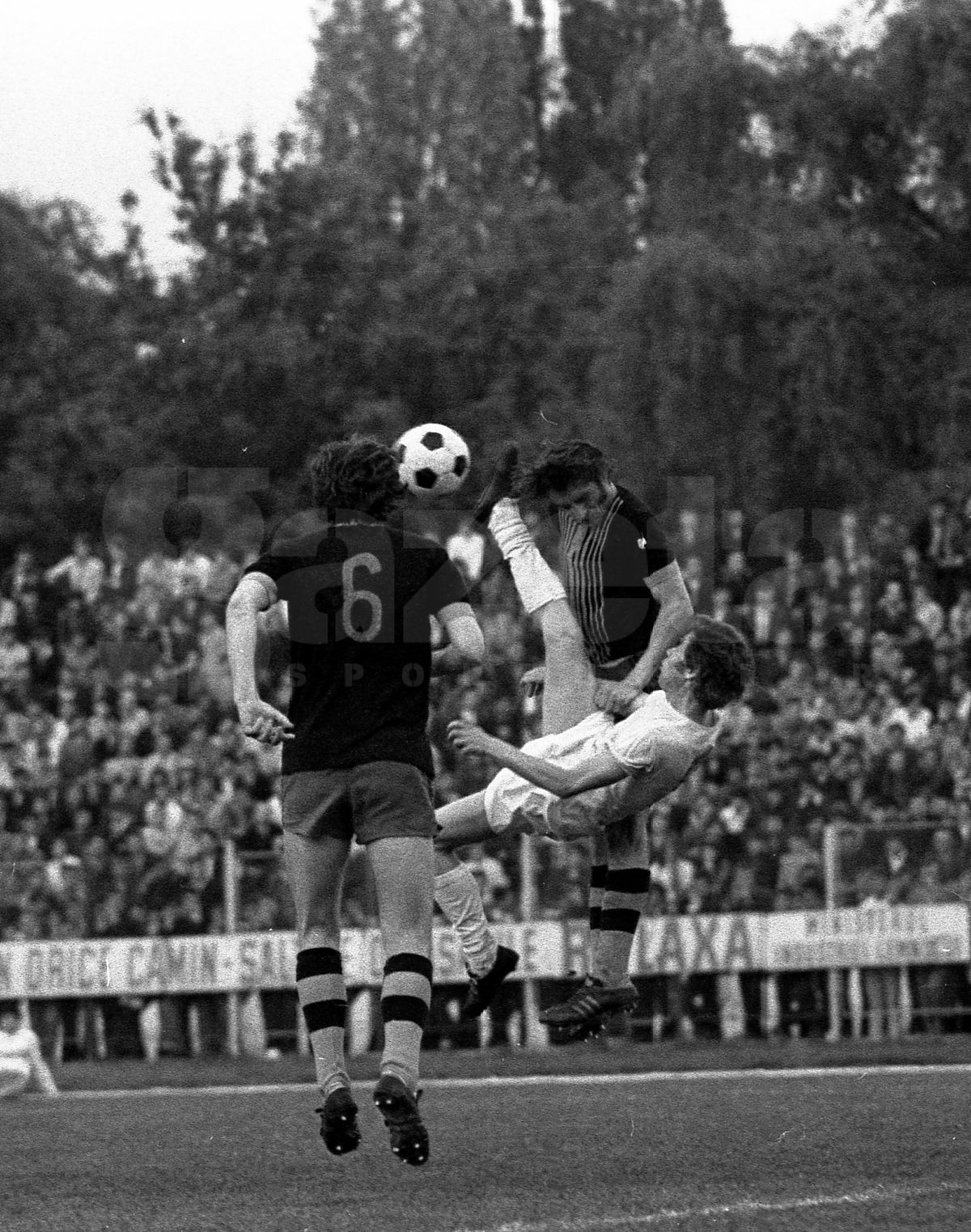 Retro Florea Dumitrache