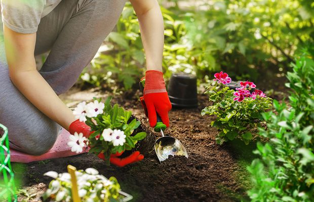 Importanța agriculturii pentru societatea modernă