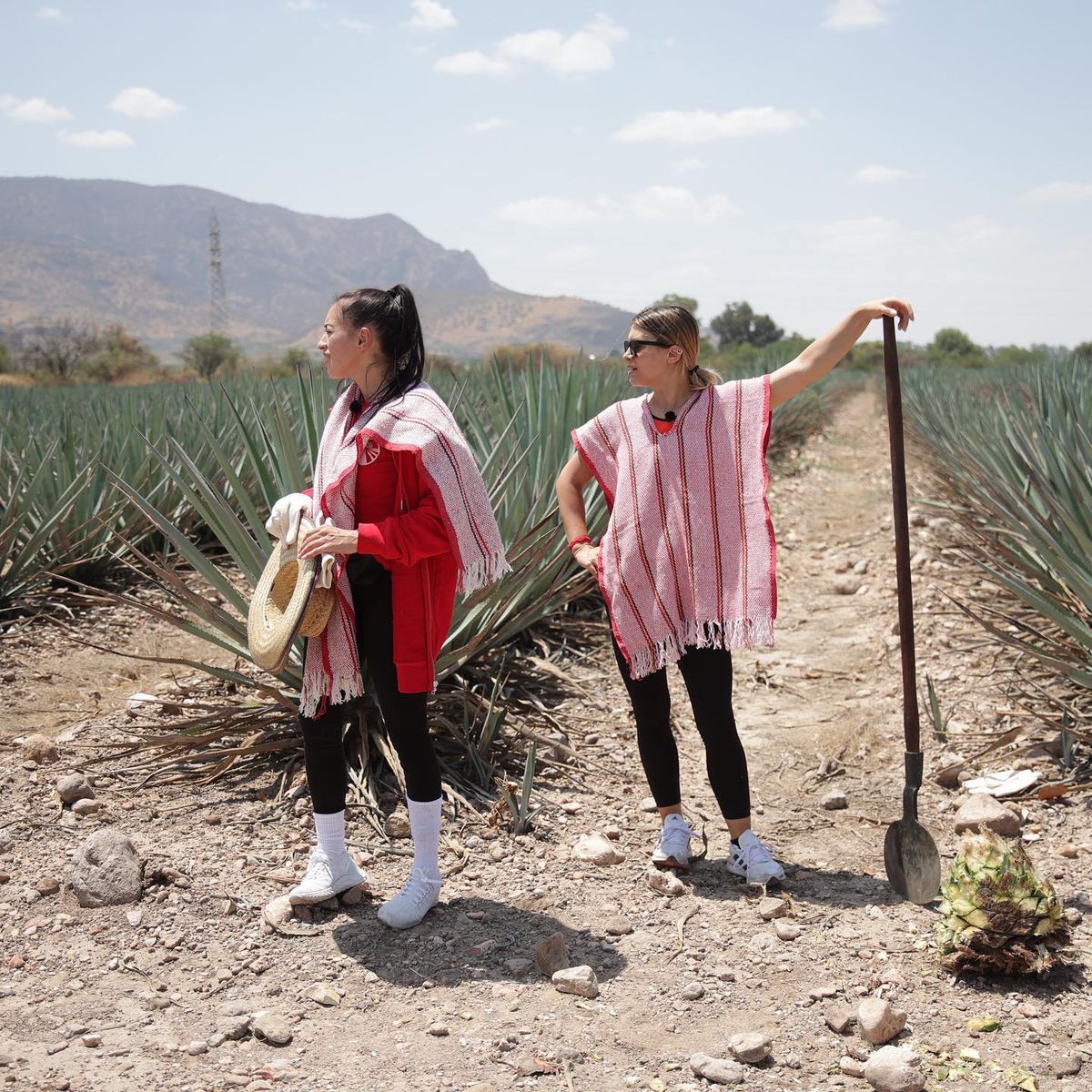 Diana Bulimar - instagram