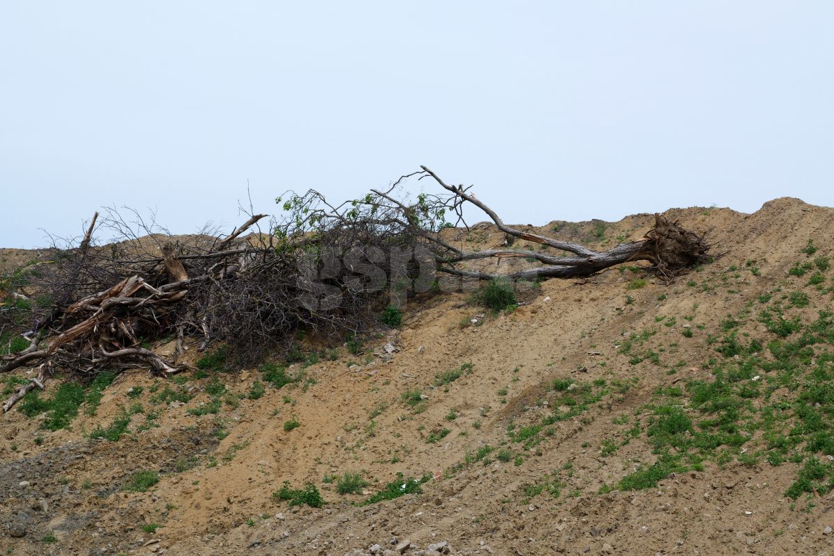 Vizită GSP pe șantierul de pe „Dan Păltinișanu” » Printre ruinele de pe „Monumentalul” violet: așa arată azi arena lui Poli Timișoara