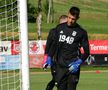 FCU Craiova, antrenament 22 05 2020. Armin Gremsl, testat de Mutu