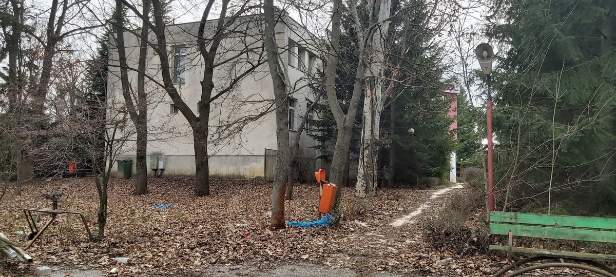 Dan Șucu, în „inspecție” la baza de 5,5 milioane de euro a Rapidului » Lucrările capătă avânt