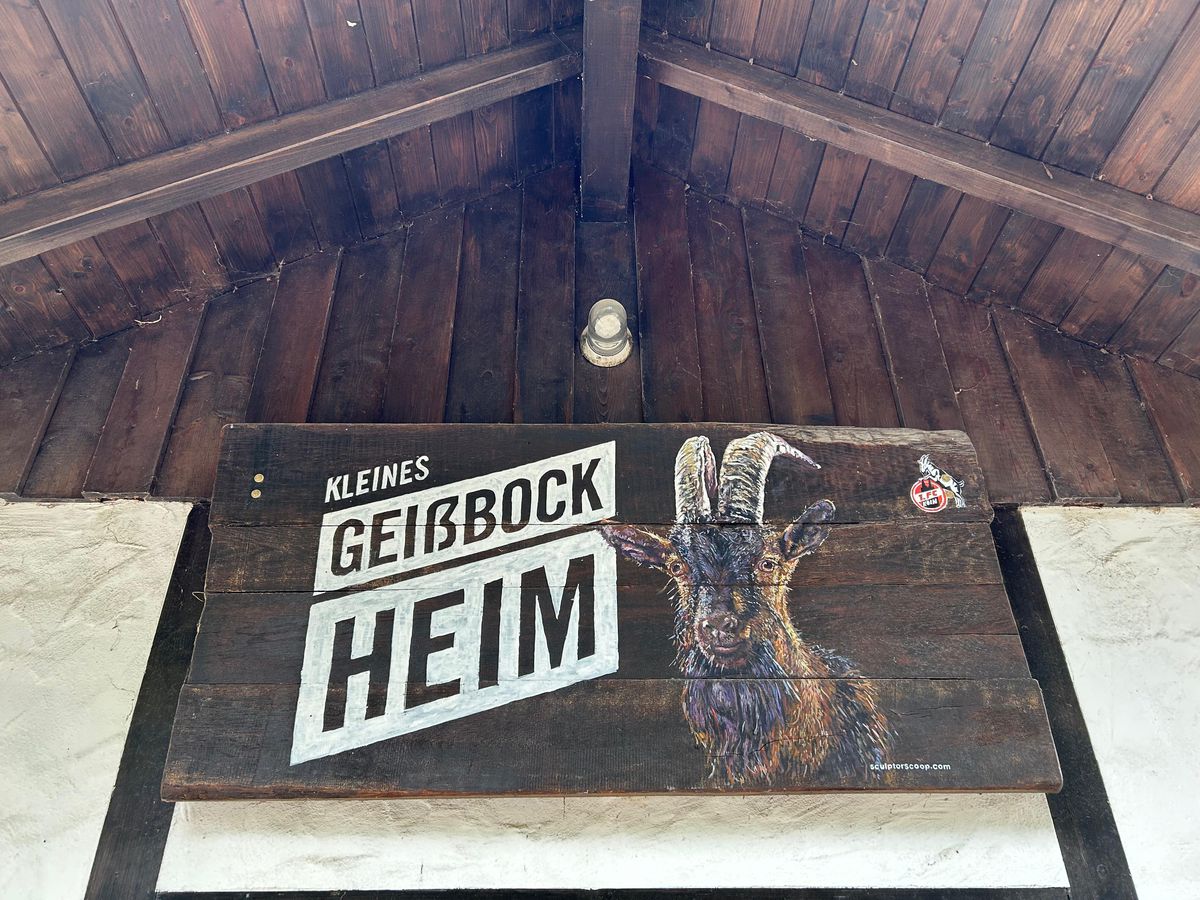 Oracolul din Koln, țapul Hennes, a pronosticat rezultatul la Belgia - România » Suspiciuni de „blat” :)