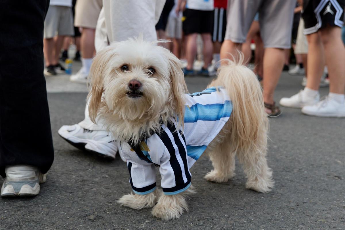 „MessiMania” la București și o apariție specială în centrul Capitalei: cântăreața din Argentina a atras toate privirile în Piața George Enescu. Peste 1.500 de oameni prezenți