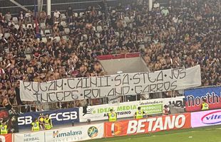 Cele mai tari mesaje afișate în tribune la derby-ul FCSB - Dinamo: „Începe Roland Garros!”  vs „Drama suporterului stelist”