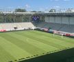 Gazon Arc de Triumf înainte de FCSB - Dinamo