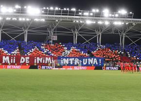 Galeriile au avut un rival comun la „Derby de România” » Cum arată un FCSB - Dinamo în „casa rugbyului”