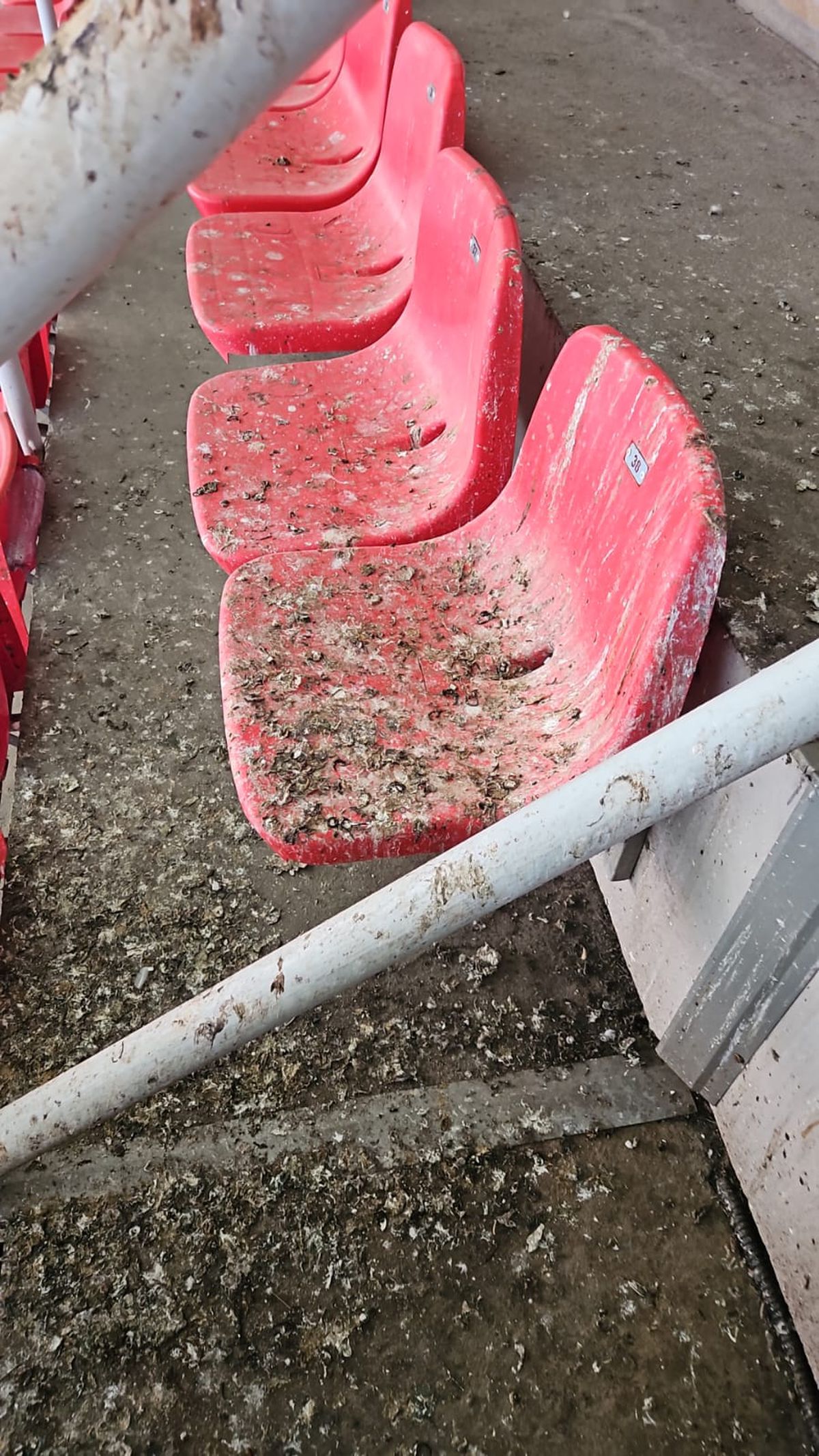 Masa presei pe stadionul „Todor Proeski" Skopje, la Shkendija - FCSB