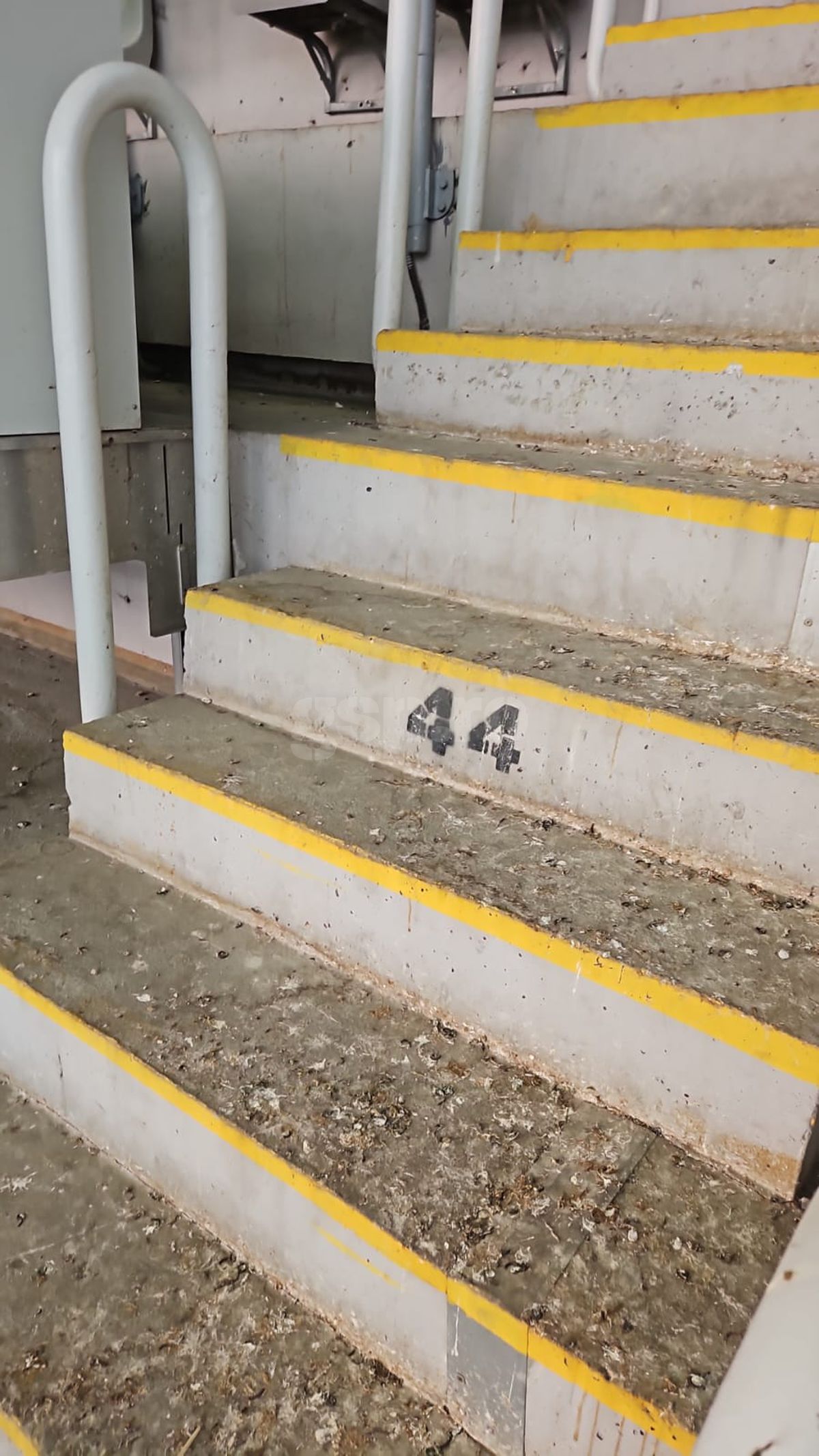 Masa presei pe stadionul „Todor Proeski" Skopje, la Shkendija - FCSB