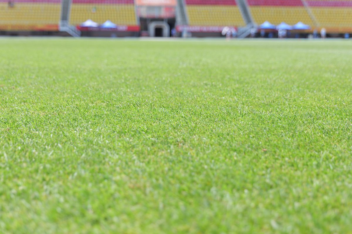 Imagini cu arena din Skopje înainte de Shkendija - FCSB // foto: Andrei Furnigă (GSP)