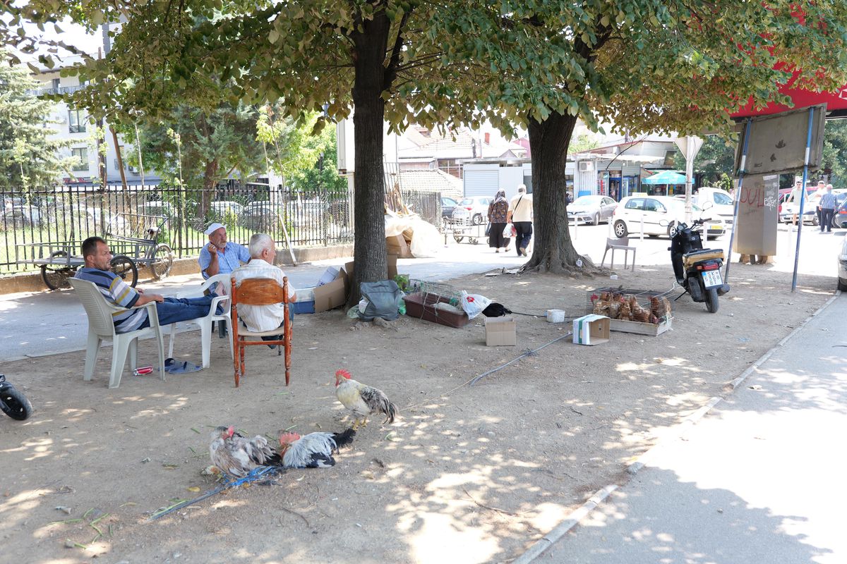 Imagini de pe străzile din Skopje înaintea meciului Shkendija - FCSB // foto: Andrei Furnigă (GSP)