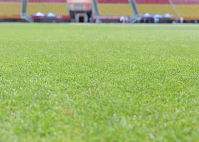 În pauza de la FOTE! Reporterii GSP vă prezintă imagini exclusive de pe stadionul unde FCSB atacă diseară calificarea la Skopje. Cum arată gazonul