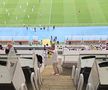 Masa presei pe stadionul „Todor Proeski" Skopje, la Shkendija - FCSB