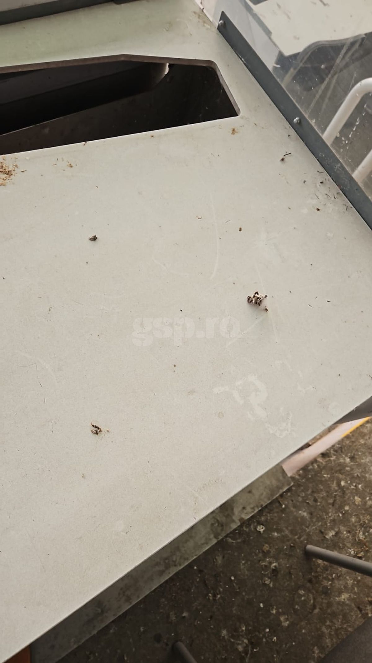 Masa presei pe stadionul „Todor Proeski" Skopje, la Shkendija - FCSB