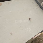 Masa presei pe stadionul „Todor Proeski