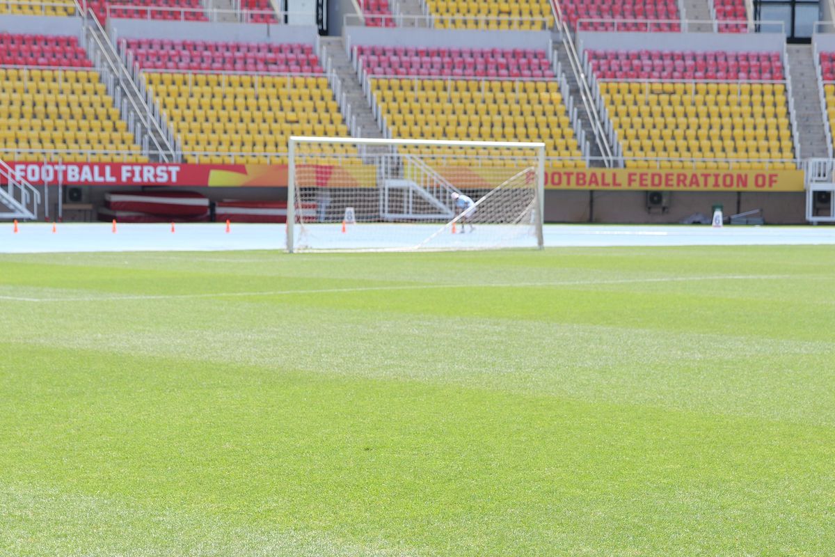 Cum arată gazonul pe care se va juca Shkendija - FCSB