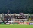 FC Botoșani - Rapid / Sursă foto: Ionuț Tabultoc (Gazeta Sporturilor)