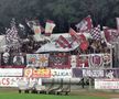 FC Botoșani - Rapid / Sursă foto: Ionuț Tabultoc (Gazeta Sporturilor)