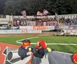 FC Botoșani - Rapid / Sursă foto: Ionuț Tabultoc (Gazeta Sporturilor)