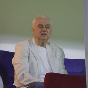 Metaloglobus - Rapid, cu Dan Șucu și Gigi Corsicanu la lojă // foto: Ionuț Iordache (GSP)