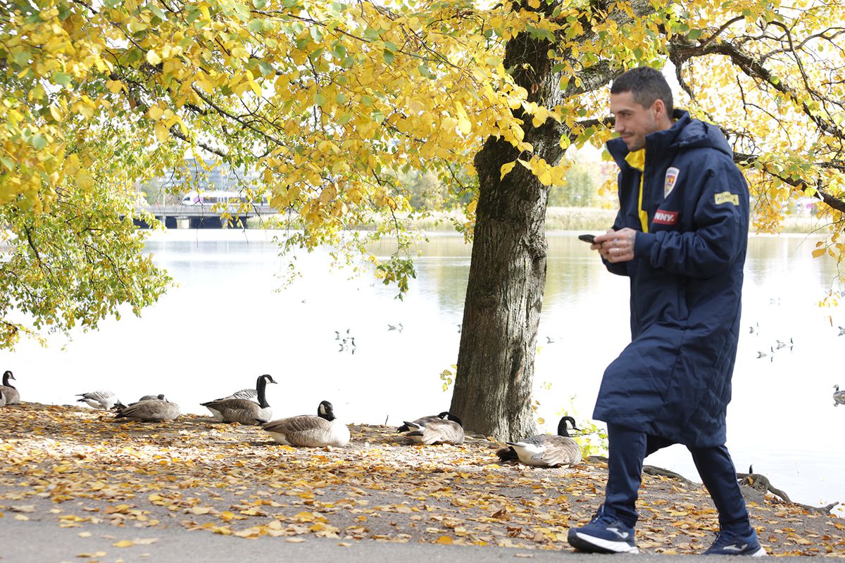 „Tricolorii”, plimbare înainte de Finlanda - România // foto: frf.ro
