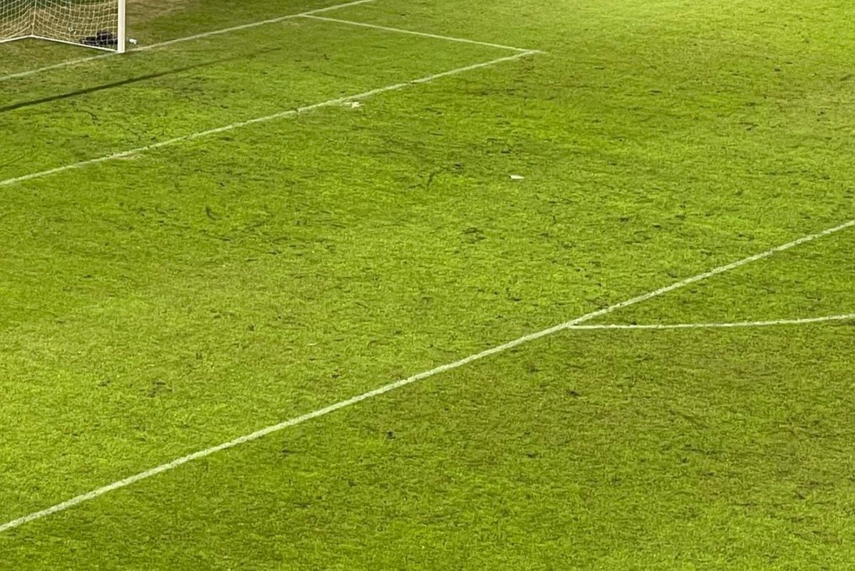 Verdict în procesul în care conducerea stadionului „Arcul de Triumf” a fost acuzată că a atribuit ilegal licitația pentru mentenanța gazonului