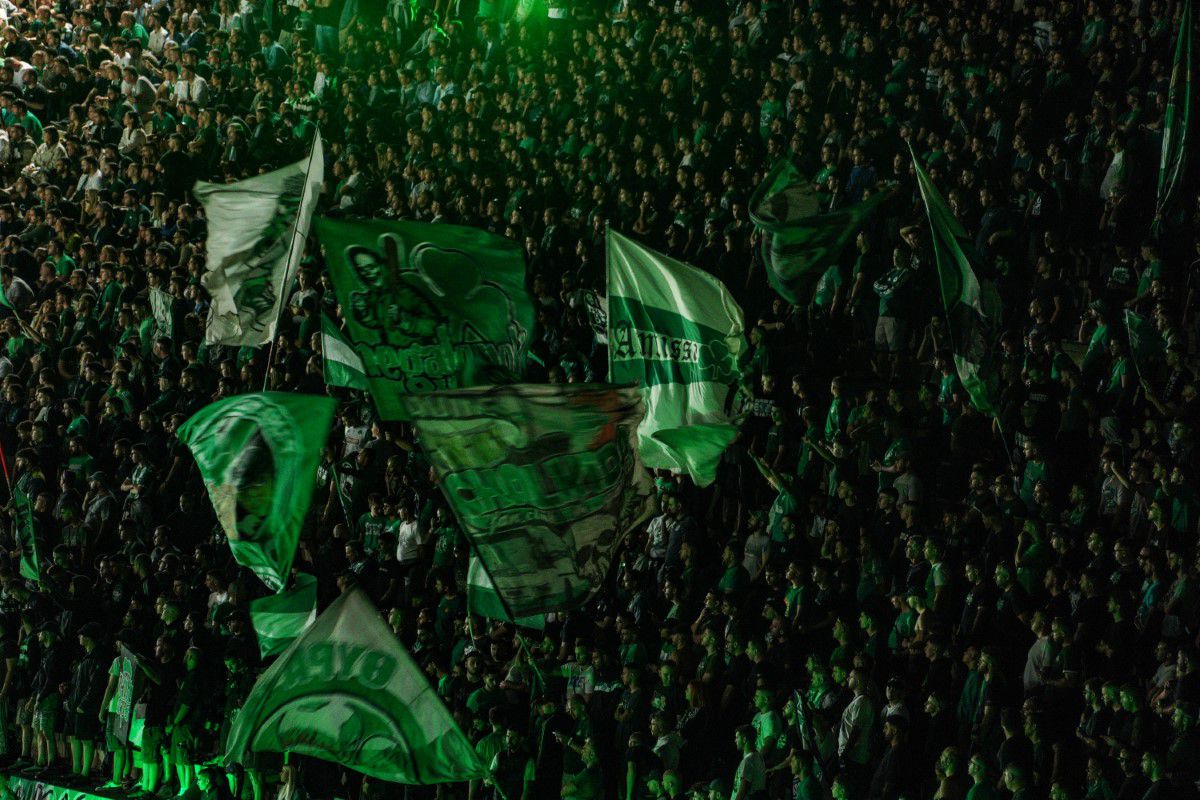 50.000 de oameni au urmărit în aer liber Panathinaikos - Partizan