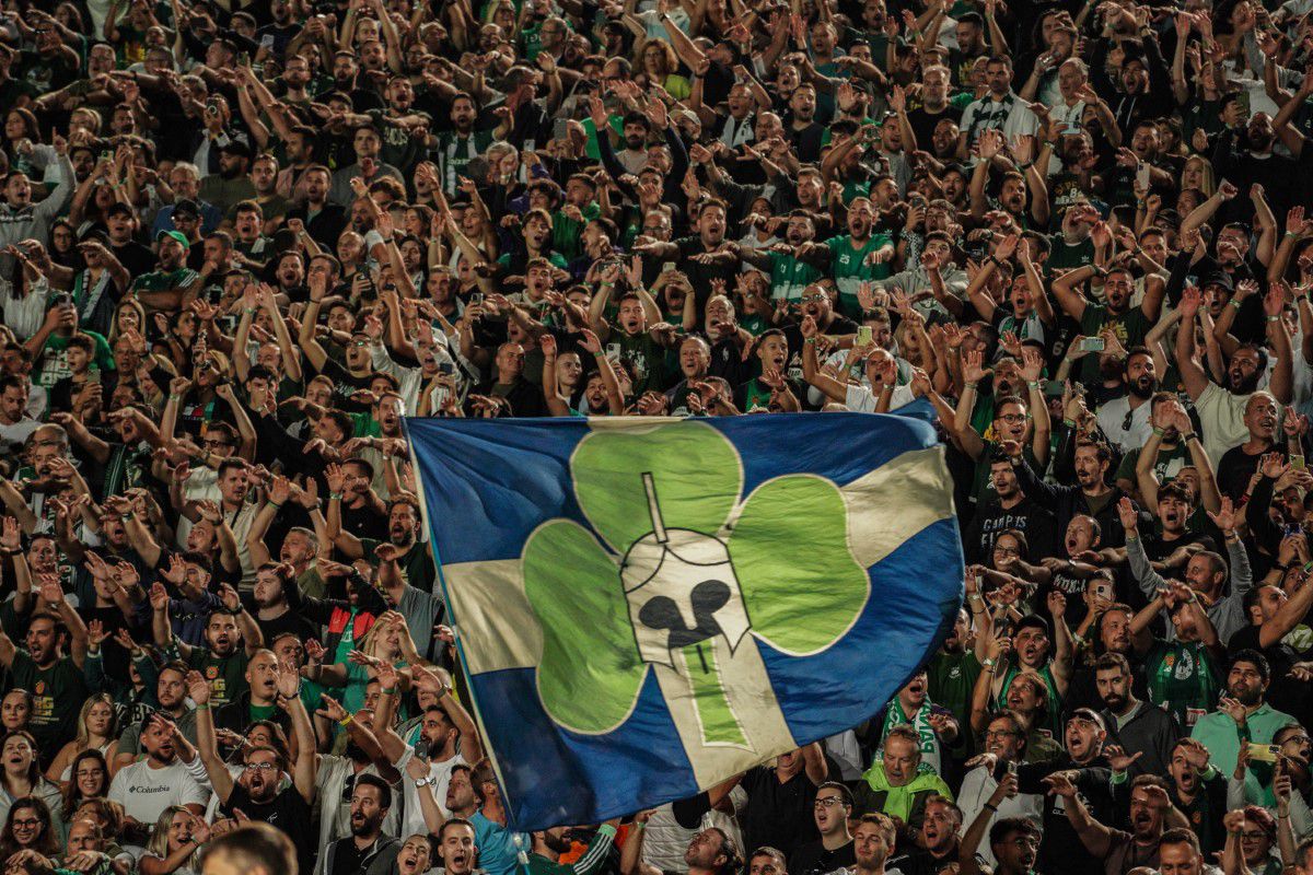 Au făcut ca legendarul stadion să TREMURE! 50.000 de oameni au urmărit în aer liber Panathinaikos - Partizan. Imagini incredibile