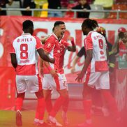 Dinamo - Farul, imagini de meci // foto: Cristi Preda (GSP)