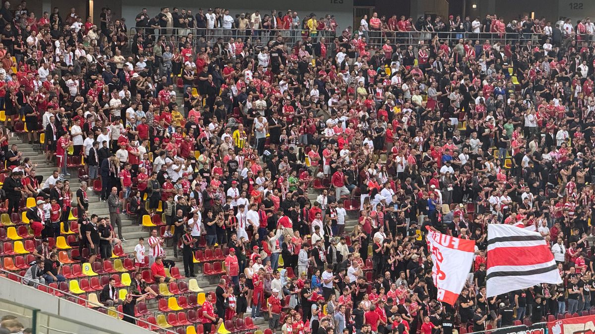 Războiul galeriilor în Dinamo - Farul » „Câinii” le-au aflat mesajul constănțenilor și i-au ironizat