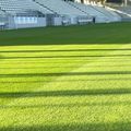 Arena Arcul de Triumf se apropie de momentul în care va fi predată Federației Române de Rugby.