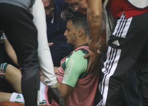 Olympiakos - Panathinaikos, întrerupt definitiv » Haosul a fost declanșat imediat după golul de 1-1